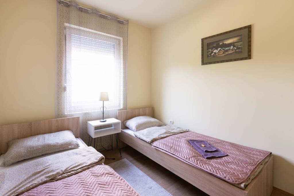 Charlie&Blueberries Appartement Belgrado Buitenkant foto