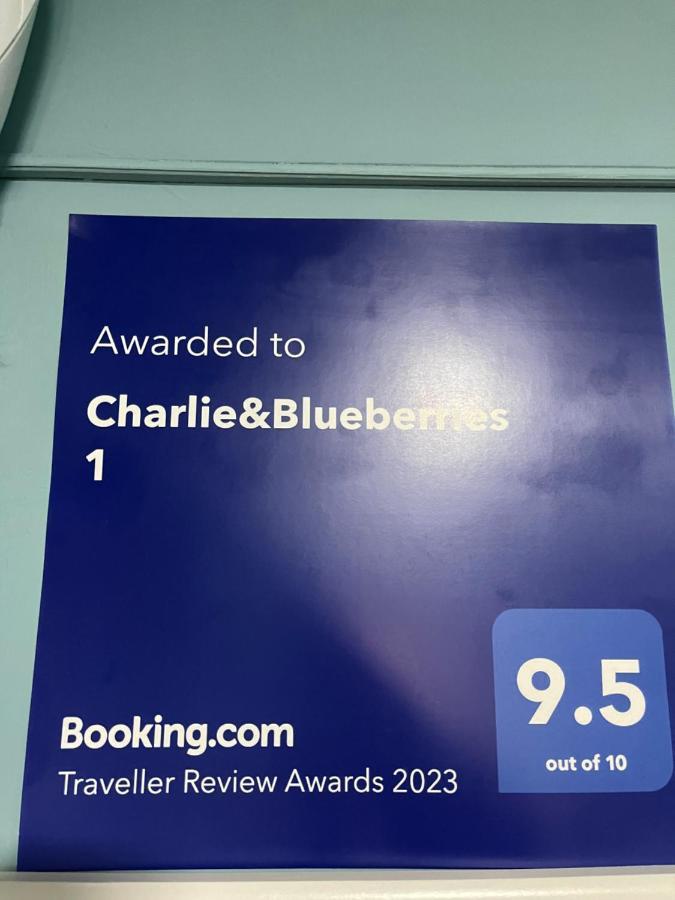 Charlie&Blueberries Appartement Belgrado Buitenkant foto